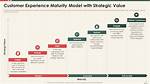 Unveiling Experience, Maturity, and Influence