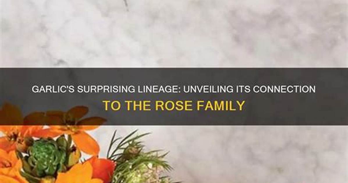 Unveiling the Connection Between Rose Alston and Alex Snow
