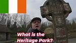 Unveiling the Heritage: Is Bellingham Irish?