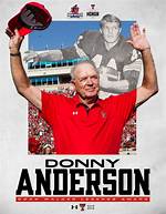 Unveiling the Life of Donny Anderson's Wife