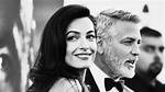 Unveiling the Life of Ziad Alamuddin: a Journey Through Passion and Influence