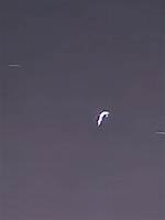 Unveiling the Mysteries of the Air Astana 2004 Incident