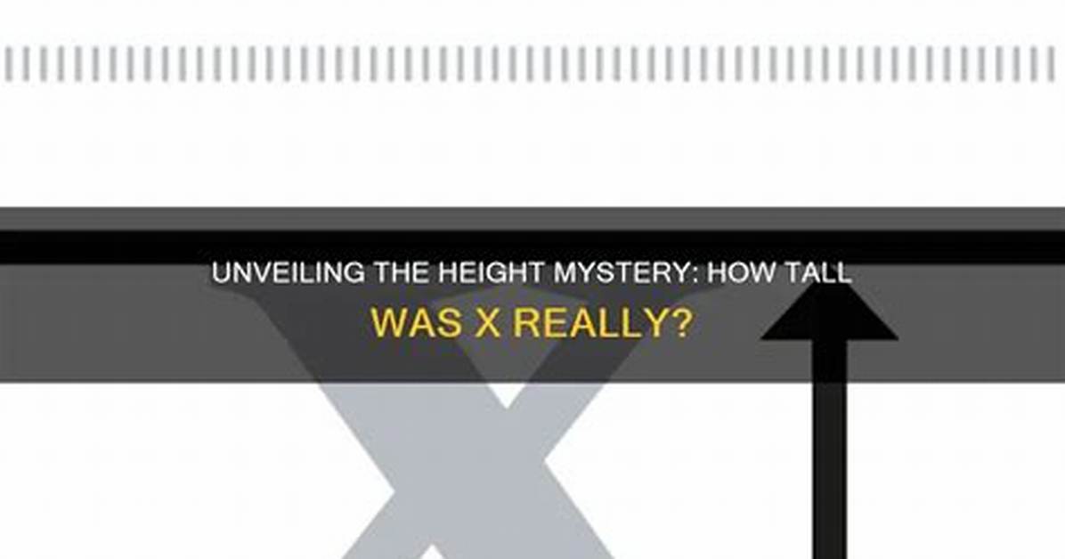Unveiling the Mystery: How Tall Is Mulder?