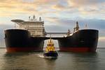 Unveiling the Pioneering Spirit of Josephine Holmes Cook