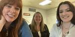 Unveiling the Secrets of Amy Bruni's Salary: Discoveries and Insights