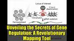 Unveiling the Secrets of Gene Regulation with Nicole Cattell