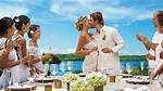 Unveiling the Secrets to Dream Weddings with Brian Shimansky