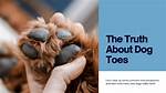 Unveiling the Truth: "Teens Suck Dogs"
