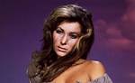 Voxvib | Michele Carey Bio (Wiki)
