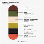 What If My Poop Is Blue Green? Celebrity. Fm #1 Official Stars, Business & People Network, Wi