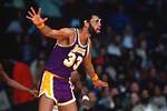What We Know About Kareem Abdul-Jabbar and Pam Griers Complicated Relationship