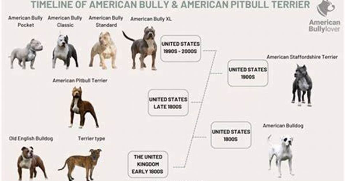 Where Is Pitbull Originally from? the Origins of Mr. Worldwide