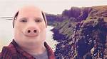 Who Is John Pork? Everything About the Calling Tiktok Meme