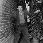 Who Is Lefty Lou Earl? Is Boxer Lefty Lou Earl Real? Kevin Hart’s Zero F**Ks Given, Facts to Know