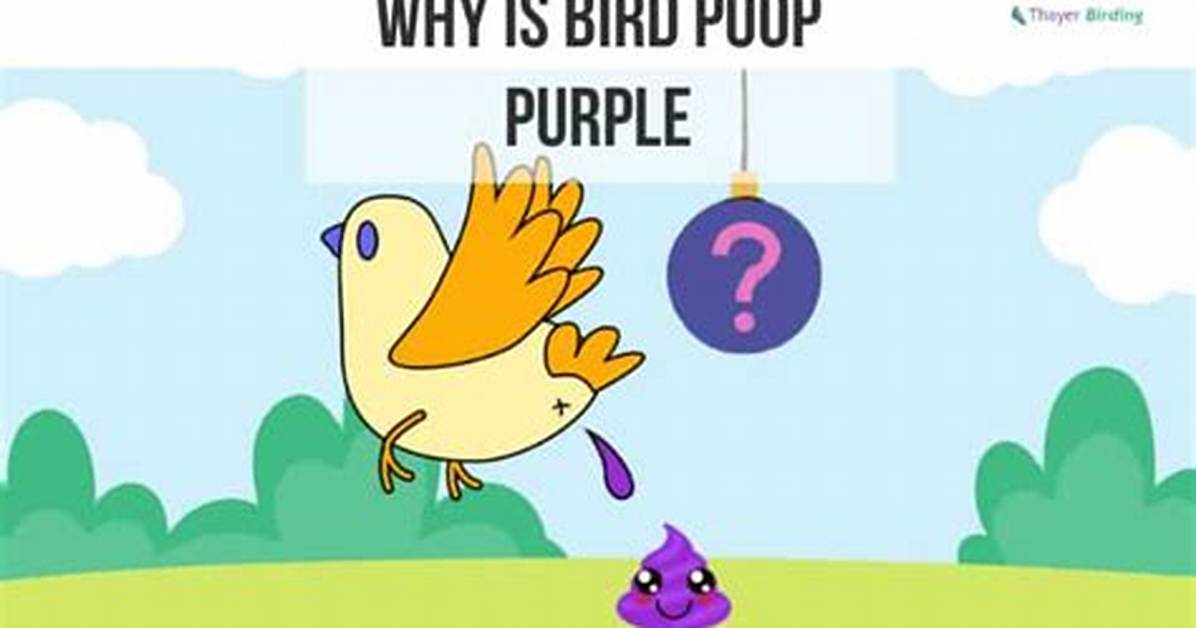 Why Is Some Bird Poop Purple?