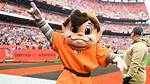 Why Is the Browns Mascot an Elf? Celebrity. Fm #1 Official Stars, Business & People Network, ·