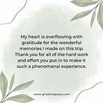 You Were a Wonderful Experience: a Journey Through Memories