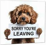 'You Won't Be Sorry' |