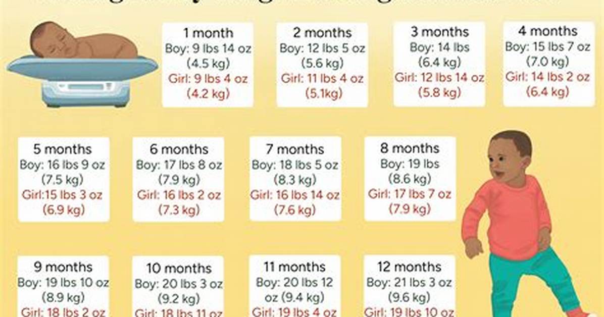 Zingb | 6.6 Lbs to Kg